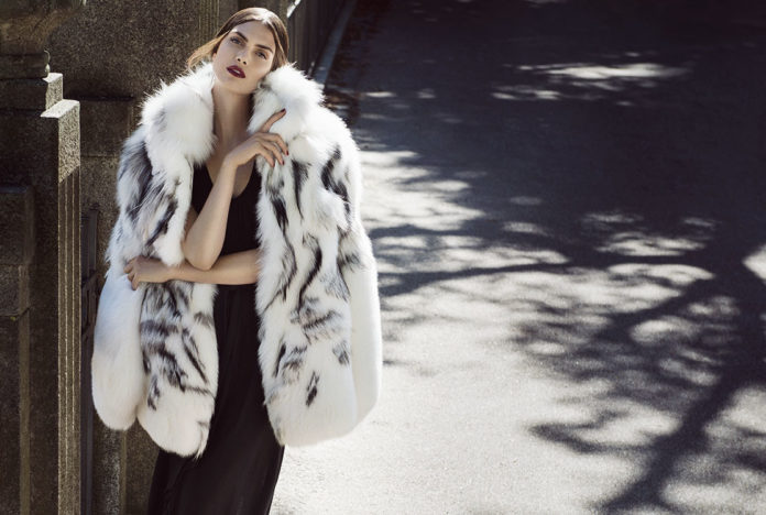 saga-furs