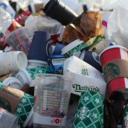 Bundestag beschließt Verbot von Plastik-Tüten