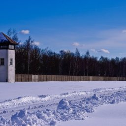 Kremlkritiker Nawalny in Straflager verlegt