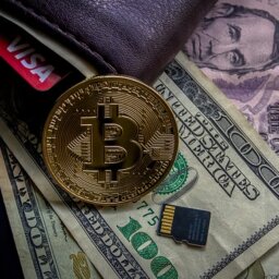 US-Vermögensverwalter entdecken Krypto: Die besondere Chance mit „Turbo“ und dem Frosch